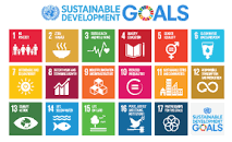 Agenda 2030 per lo Sviluppo Sostenibile